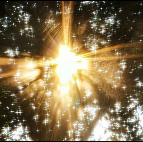 抖音没有灵魂出窍特效