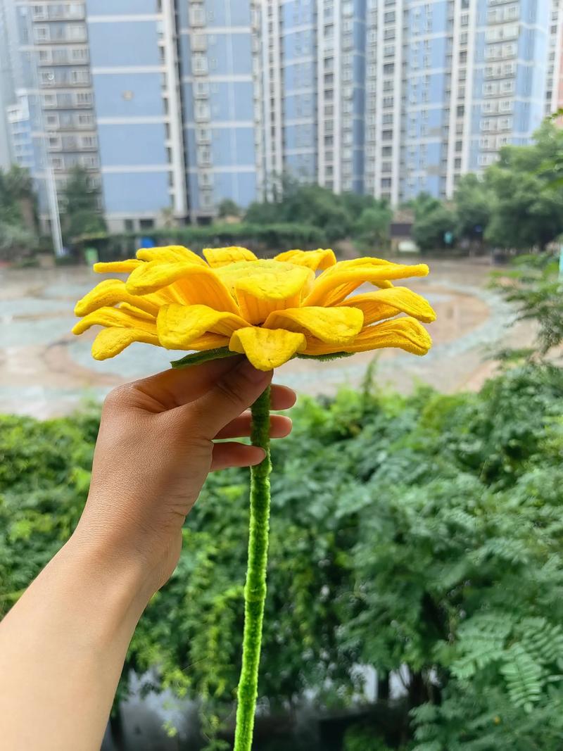 抖音会扭的向日葵视频