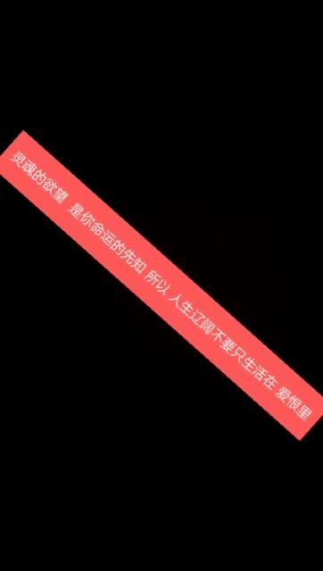 快手先知团队怎么设置