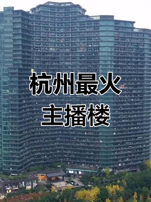 杭州做淘宝直播的公司