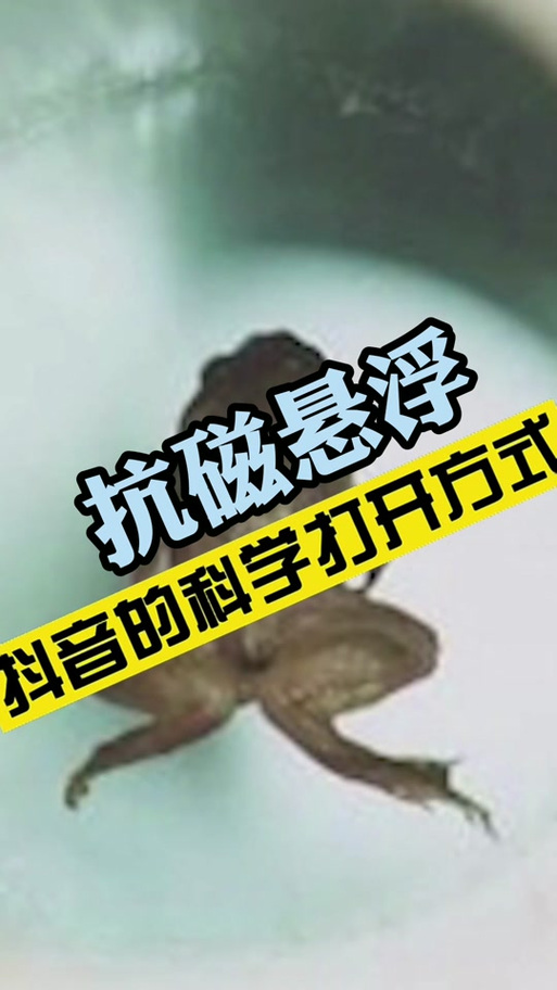 抖音上跟磁铁一样那个