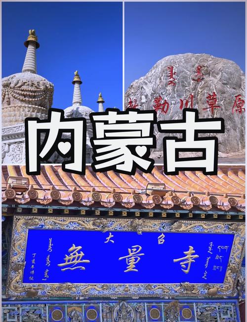 呼和浩特市抖音谁最红