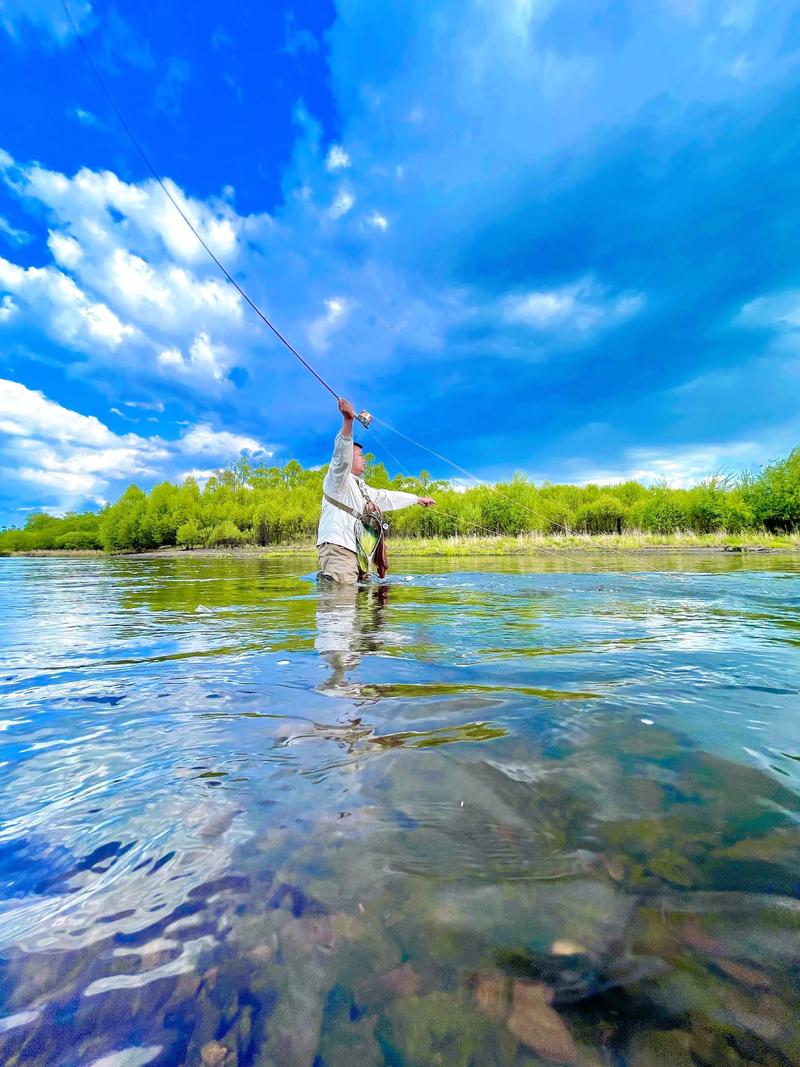 野钓直播频道在线观看