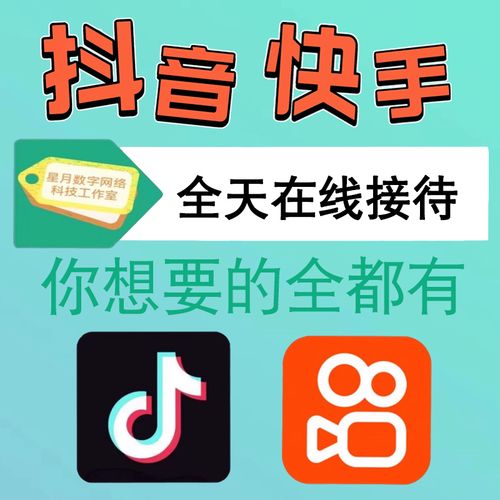 《快手上热门攻略》书