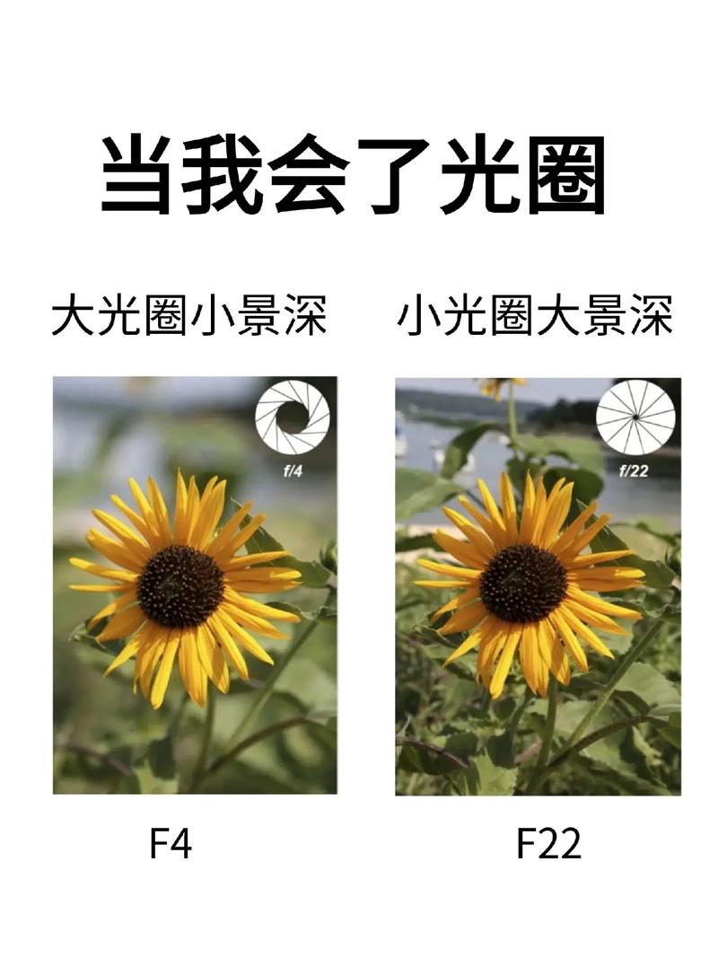 抖音里的光圈怎么弄的