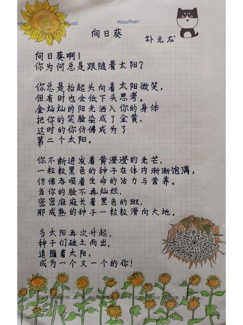 抖音网红向日葵的歌曲