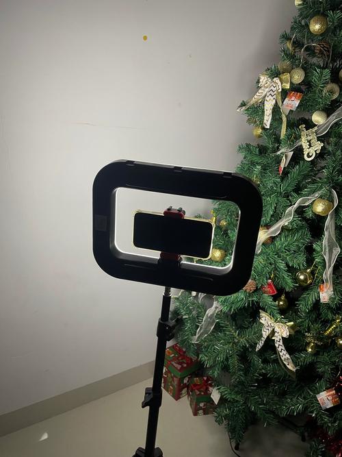 男生玩抖音用的补光灯