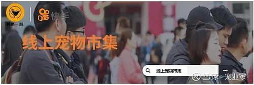 快手宠物交流怎么解决