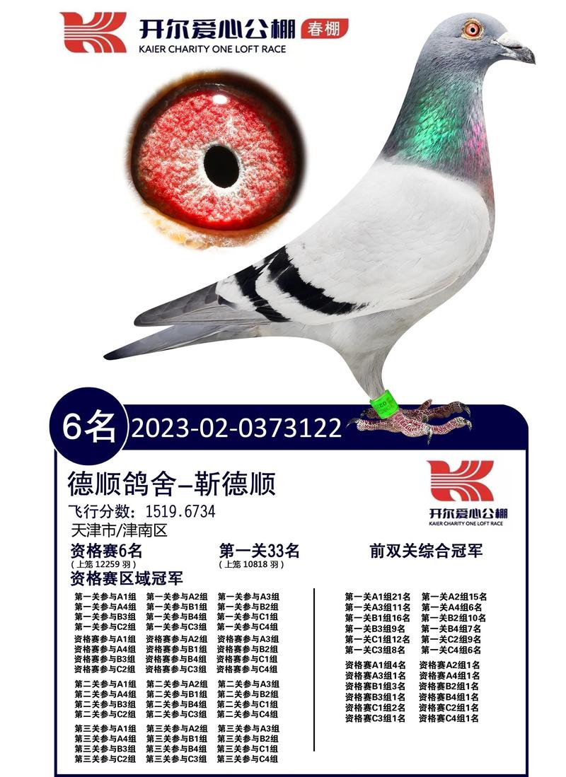 中华信鸽赛事直播平台