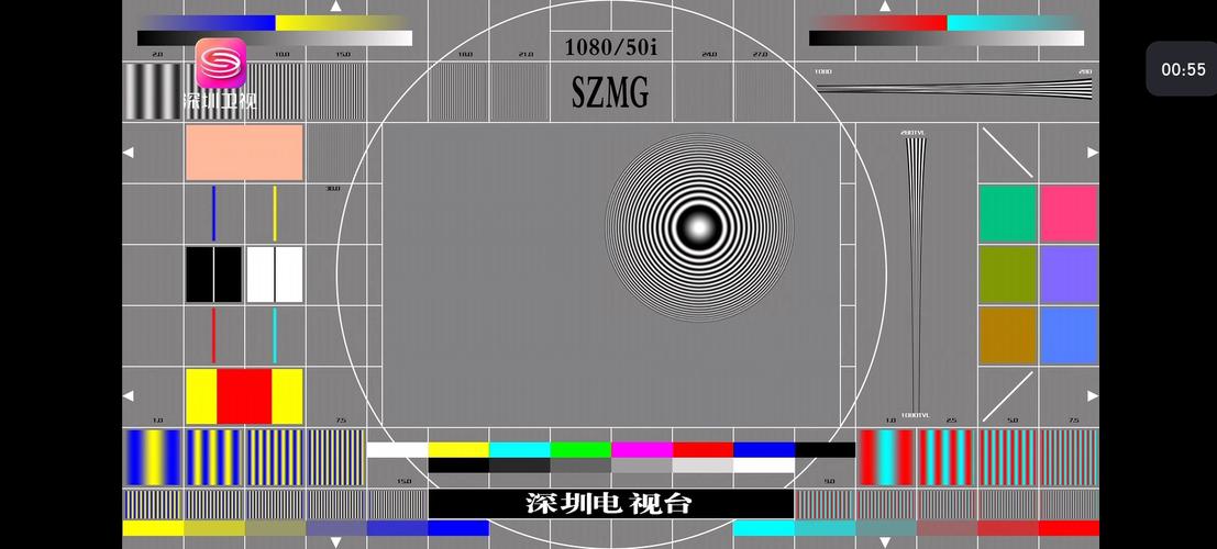 深圳娱乐频道直播回放