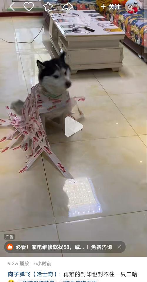 快手上恶搞男友 胶带