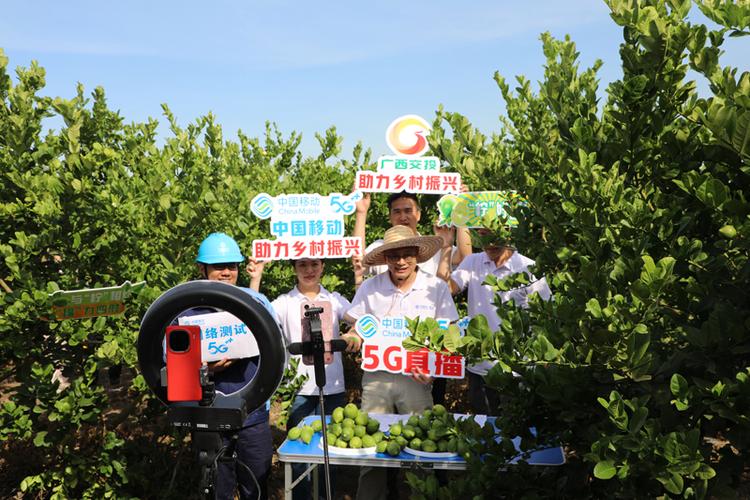 非常帮助-农民网直播