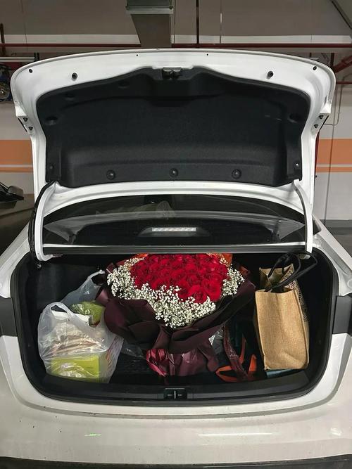 抖音车后备箱放花图片