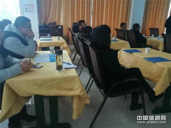 广汉信鸽协会赛事直播