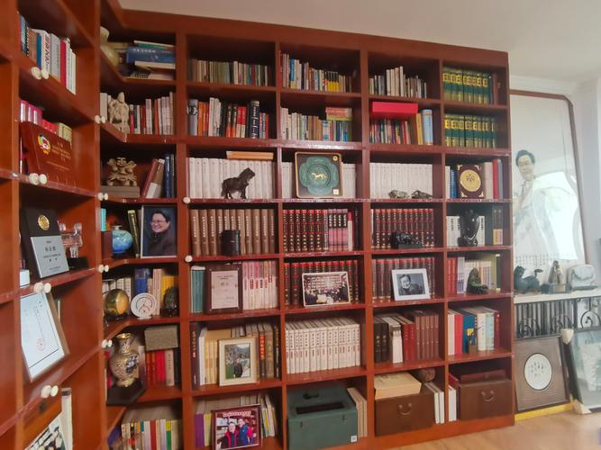 抖音上有杂物间的书柜