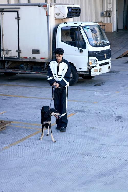 抖音里扶着门的吉娃娃