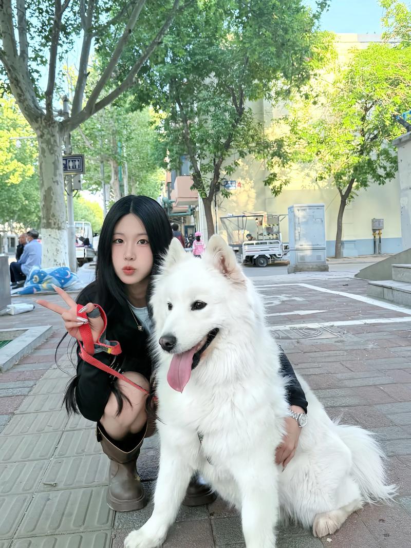 快手萨摩耶主人的id