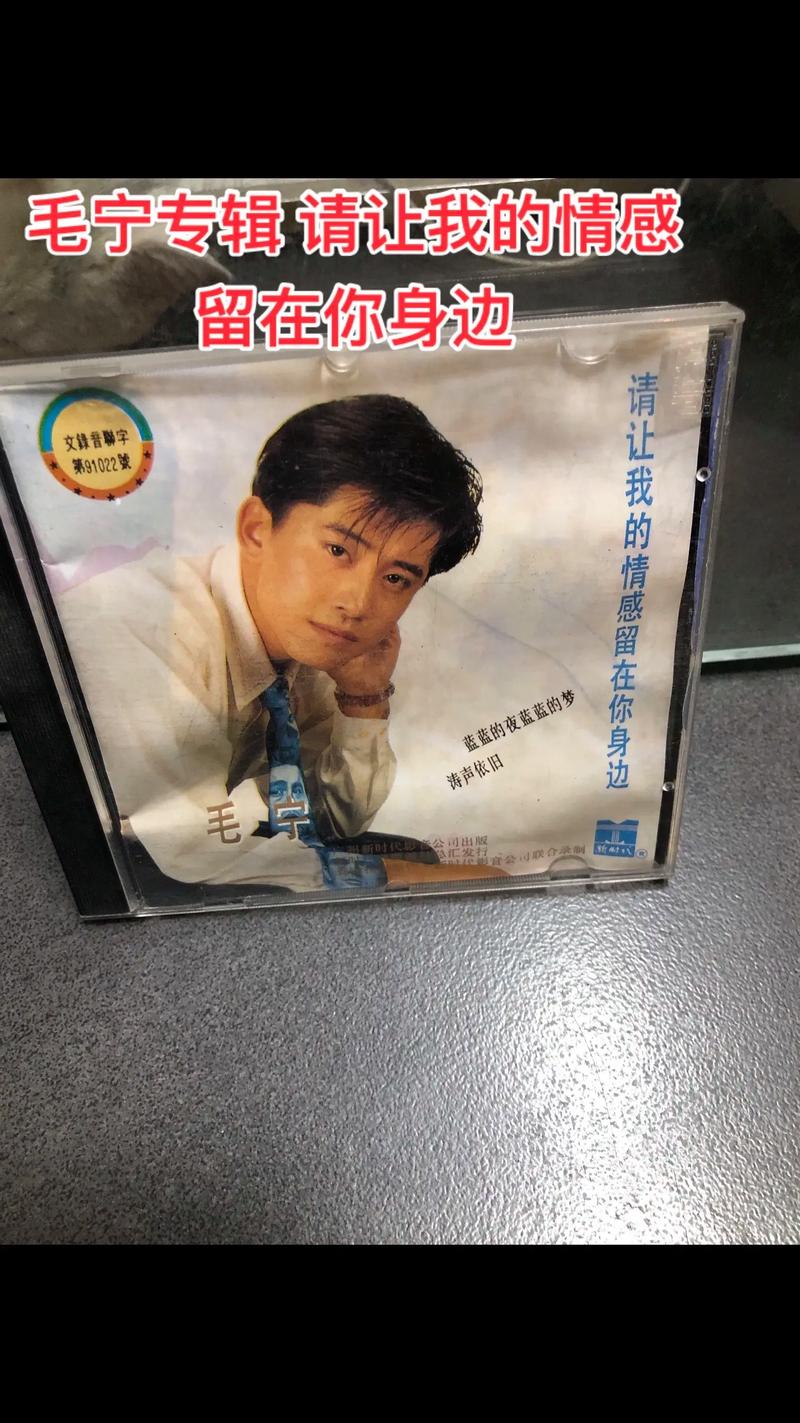 抖音里歌曲像老碟片的