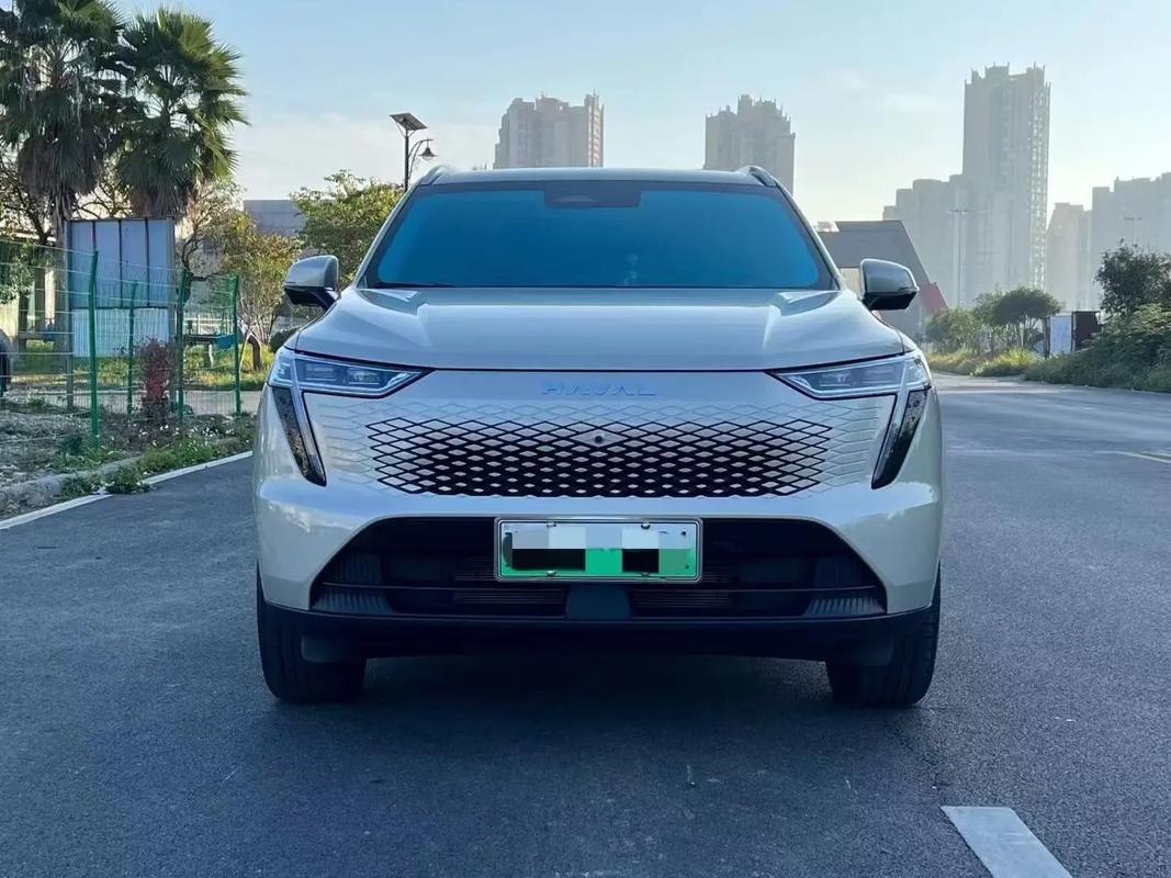 抖音同款suv电动车