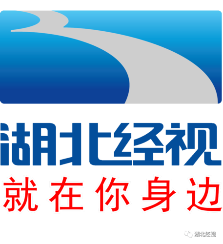武汉经视直播求助热线