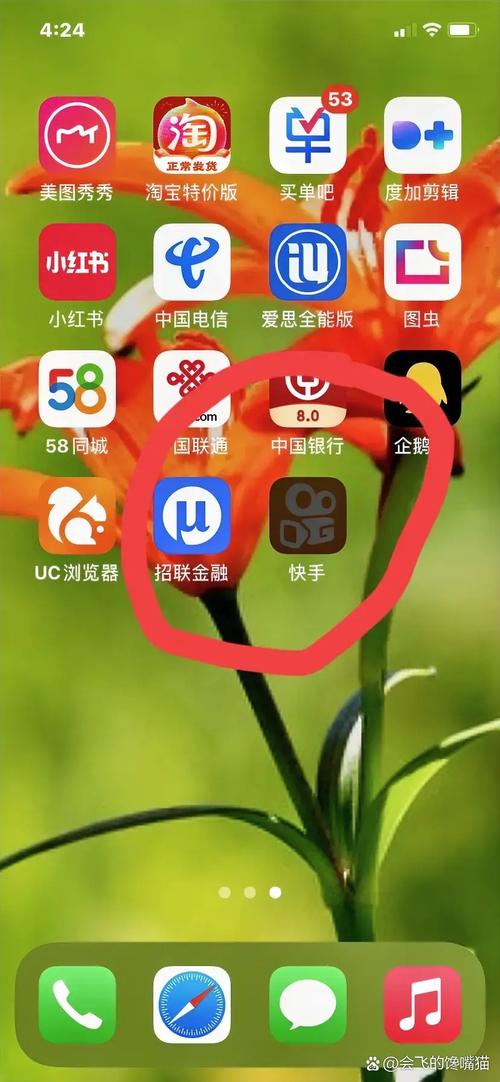 还有什么软件类似快手