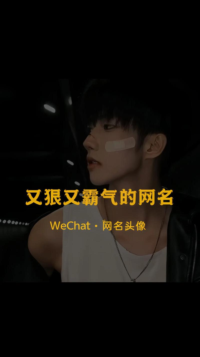 快手名称图片大全霸气