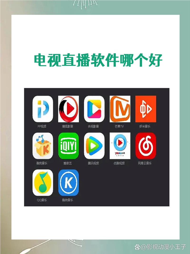 与电视同步直播的软件