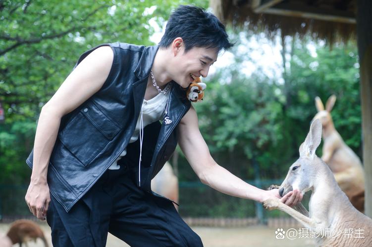 抖音张欣尧为啥这么火