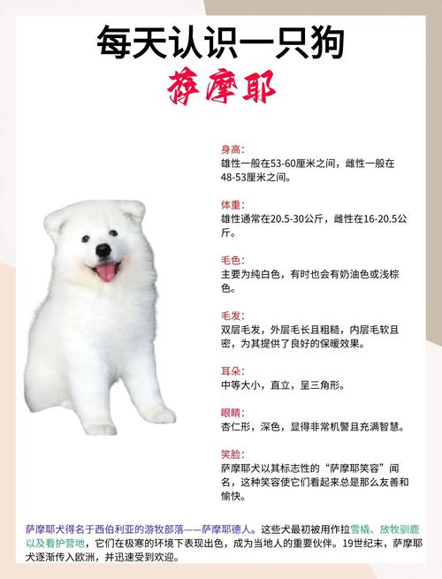 快手所有的萨摩耶id