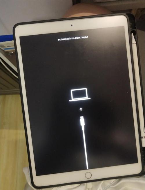 iPad不能下载快手