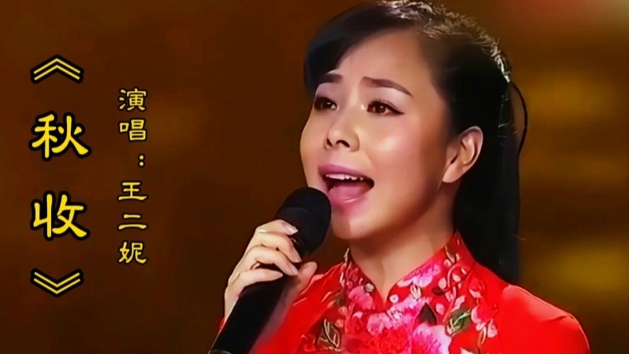 王二妮演唱会现场直播