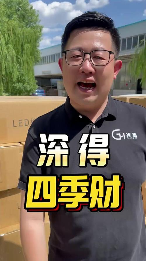 孙本伟实盘直播金融界