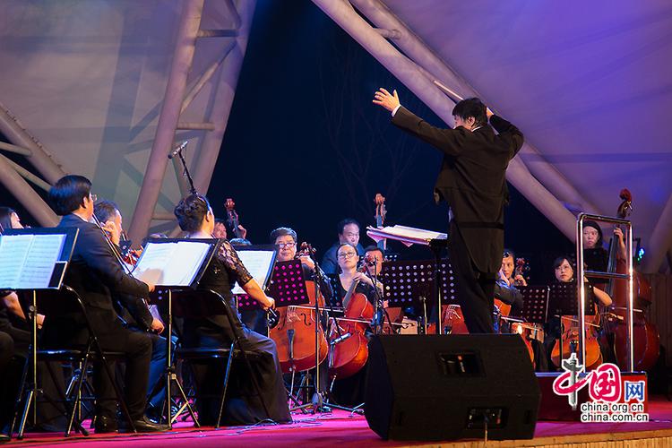 葫芦岛电视台直播回放