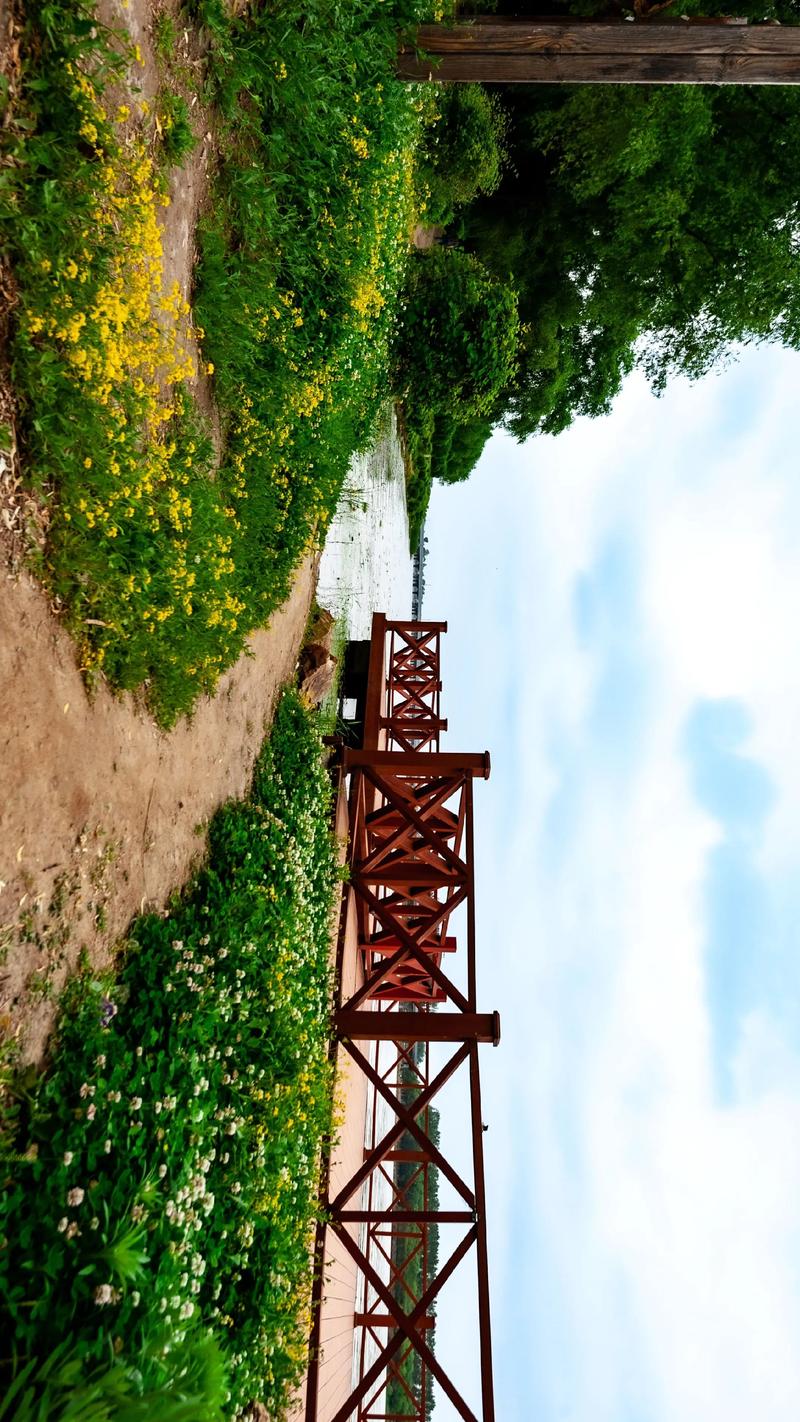 抖音里广角是什么意思