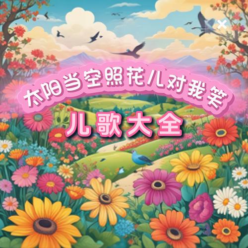 抖音太阳花音乐是哪首