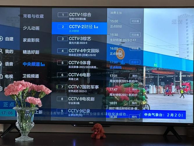 乐视电视可以看直播吗