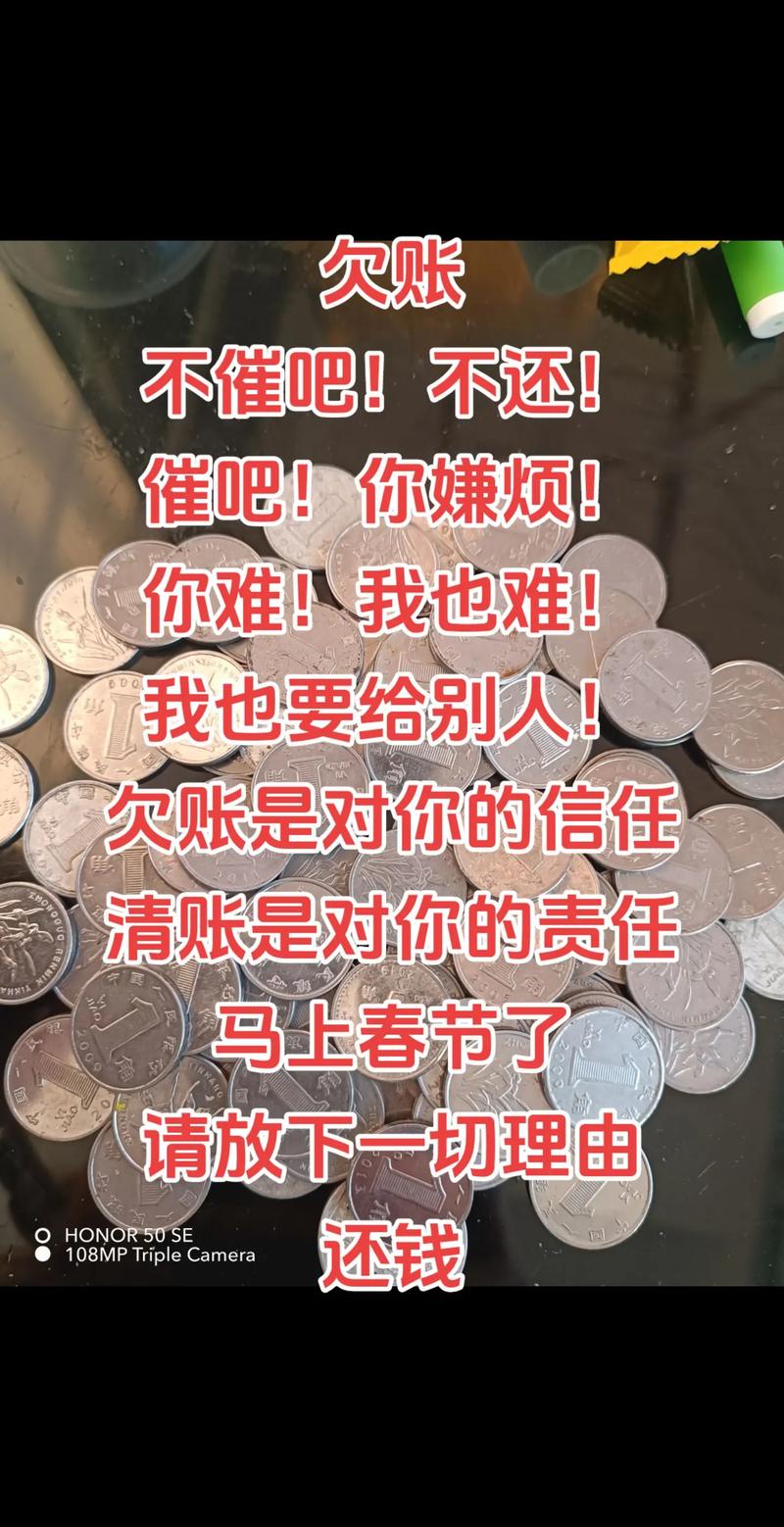 抖音借钱不还被打的女