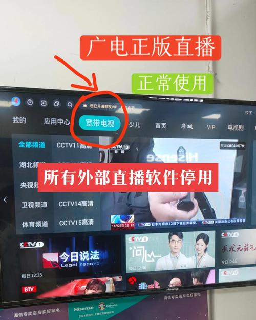 哪个播放器可以看直播