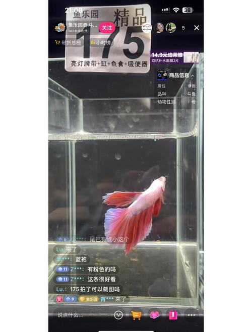 除了斗鱼还有什么直播
