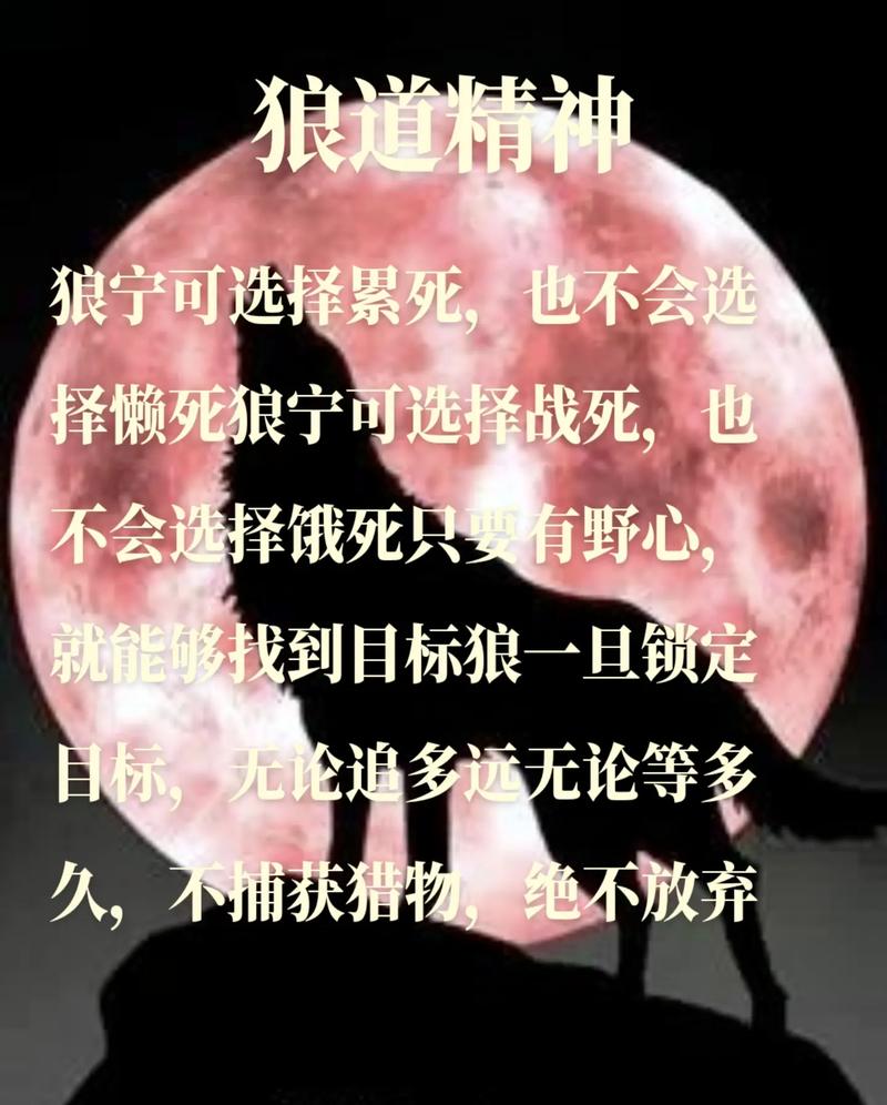 抖音上的狼道作者是谁