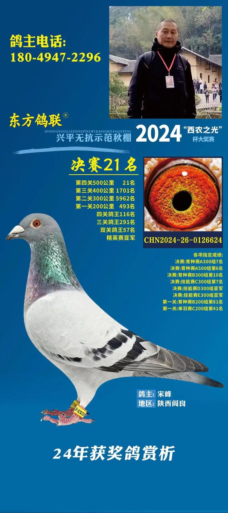 中国鸽网赛事直播平台