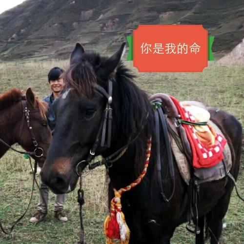 快手小不点唱的四年半