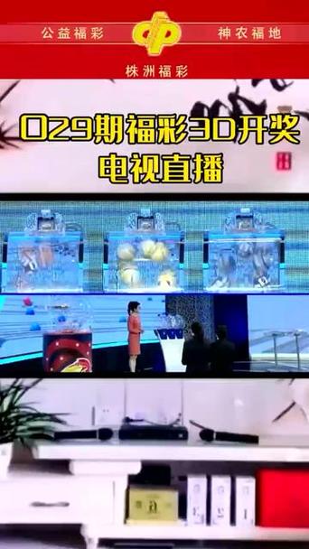 今晚开马结果现场直播