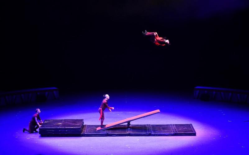 河北杂技频道在线直播