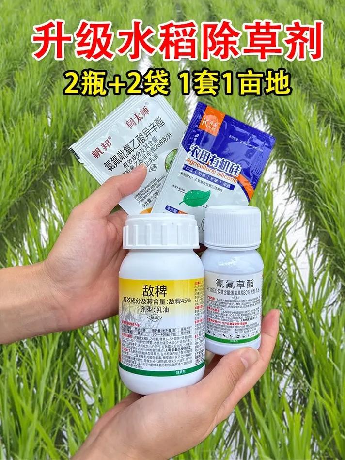 水稻直播田苗后除草剂