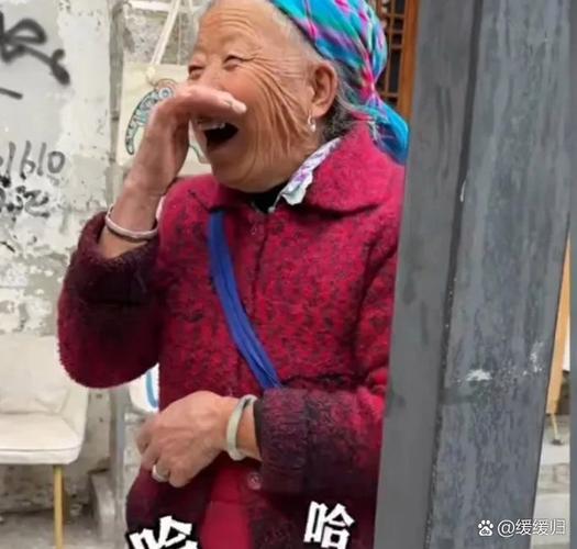 拔河老太太表情包抖音