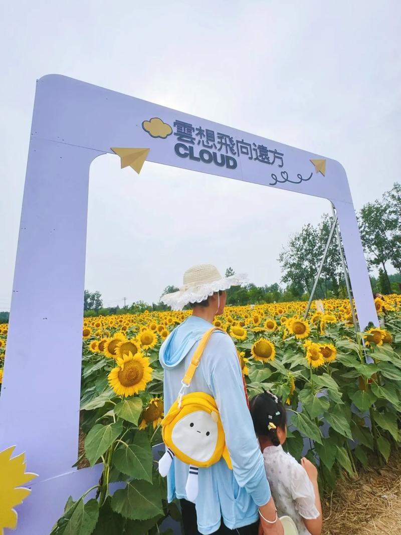 抖音妖娆花向日葵视频