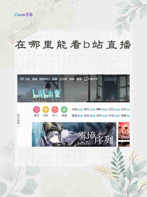 b站tv版怎么看直播