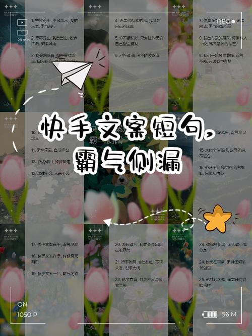 快手给朋友涨粉怎么说