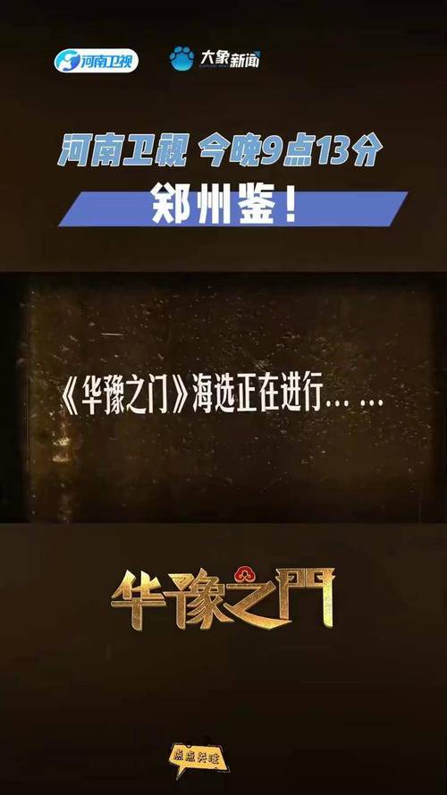 河南卫视华豫之门直播